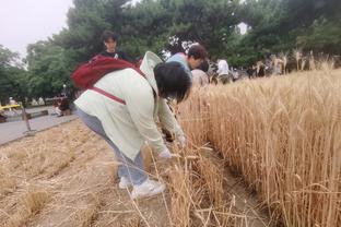 主防东契奇选手缺阵！范德比尔特因背部痉挛缺席今日比赛